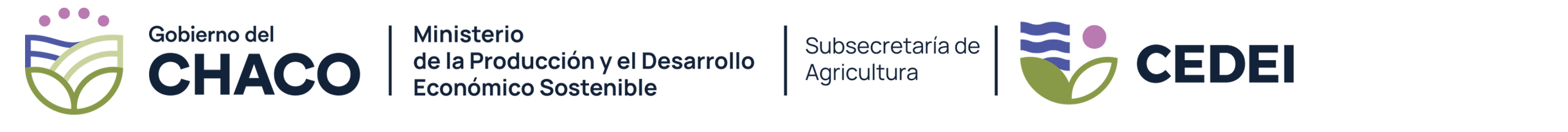 Logo CEDEI Chaco